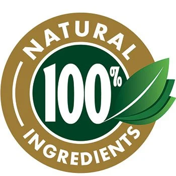 LeanBiome LeanBiome vegan non-GMO ingredients